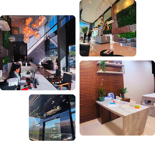 Ambiente da clínica CEBRALE com recepção moderna, consultório e fachada envidraçada